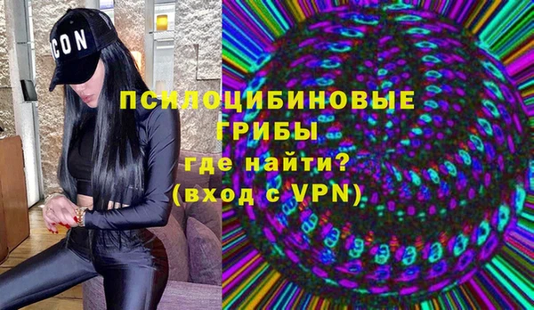 ГАЛЛЮЦИНОГЕННЫЕ ГРИБЫ Алзамай