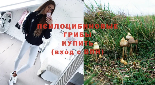 бошки Алексеевка