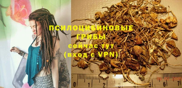 ГАЛЛЮЦИНОГЕННЫЕ ГРИБЫ Алзамай